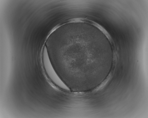 X0000115600858200911171127