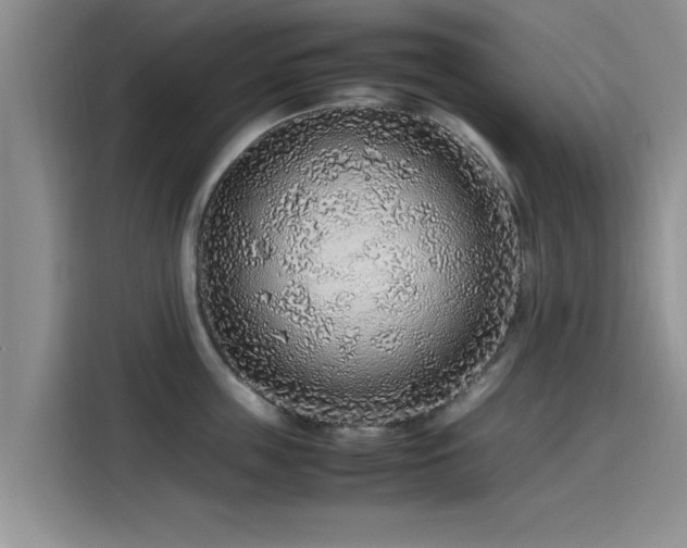 X0000115600859200911171127