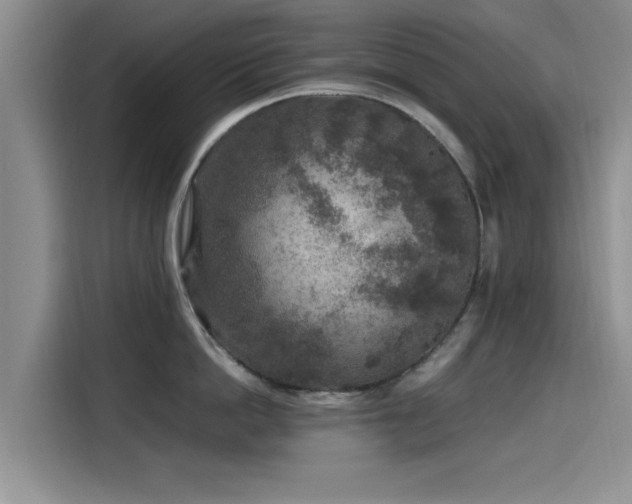 X0000115600862200911171127