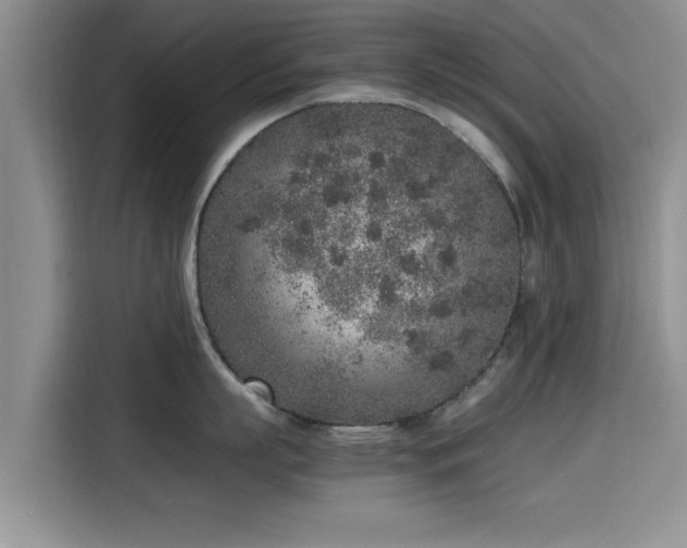 X0000115600863200911171127