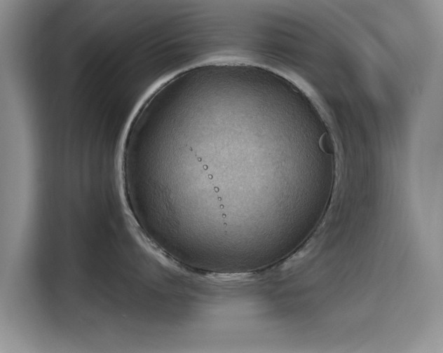 X0000115600864200911171127