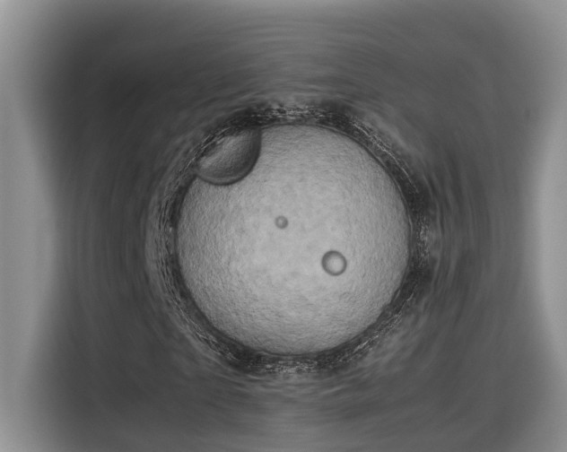 X0000115600865200911171126