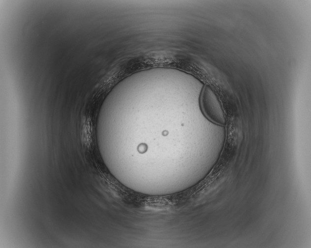 X0000115600866200911171126