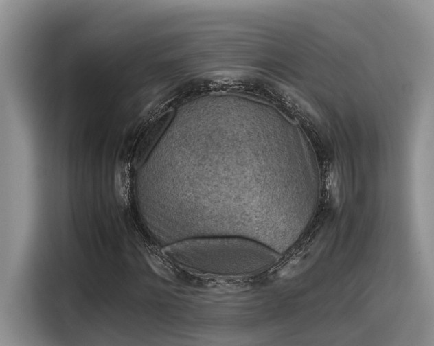 X0000115600868200911171126