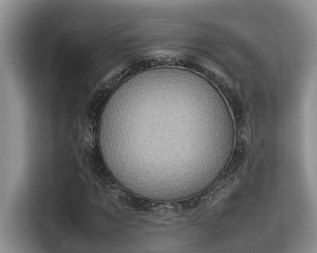 X0000115600869200911171126