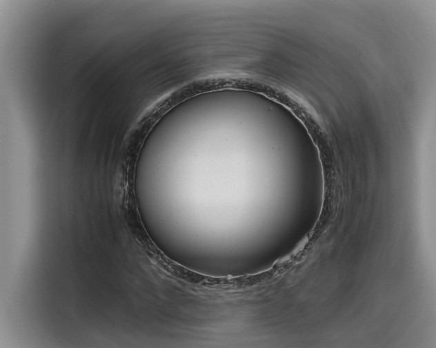 X0000115600872200911171126