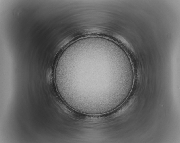 X0000115600873200911171126