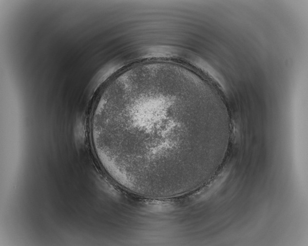 X0000115600874200911171126