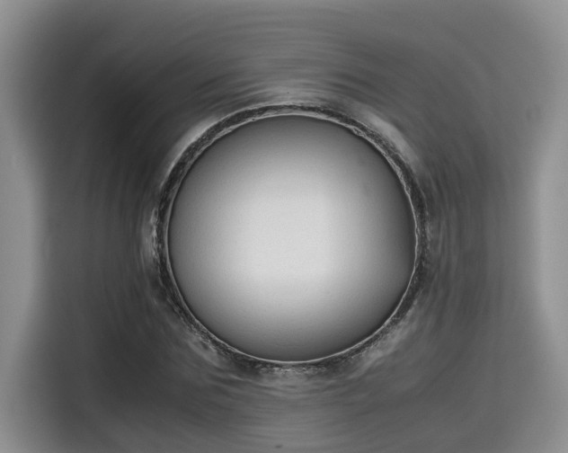 X0000115600875200911171126