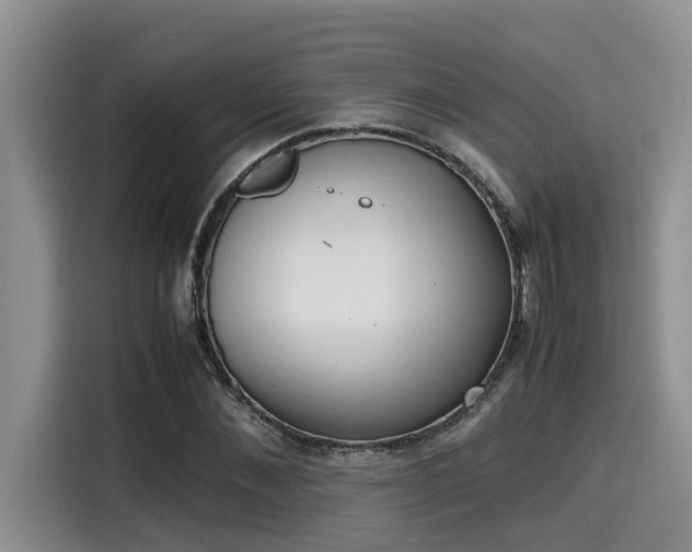 X0000115600876200911171126