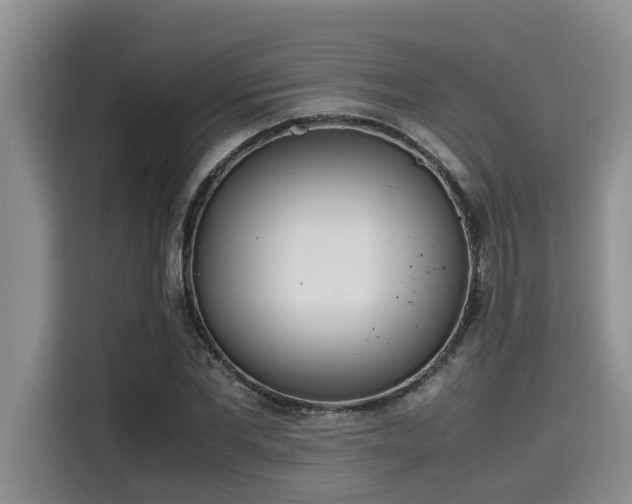 X0000115600877200911171126