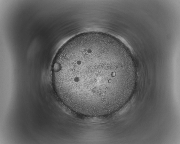 X0000115600879200911171126