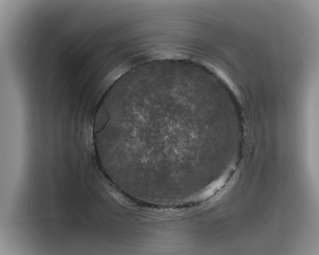 X0000115600881200911171126