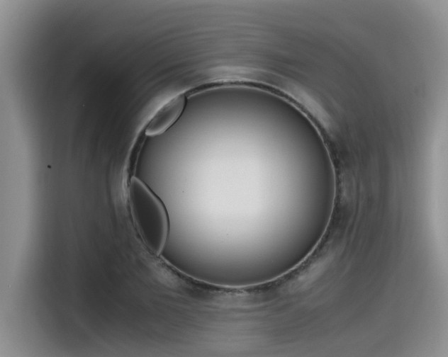 X0000115600885200911171126