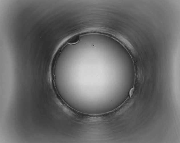 X0000115600888200911171126