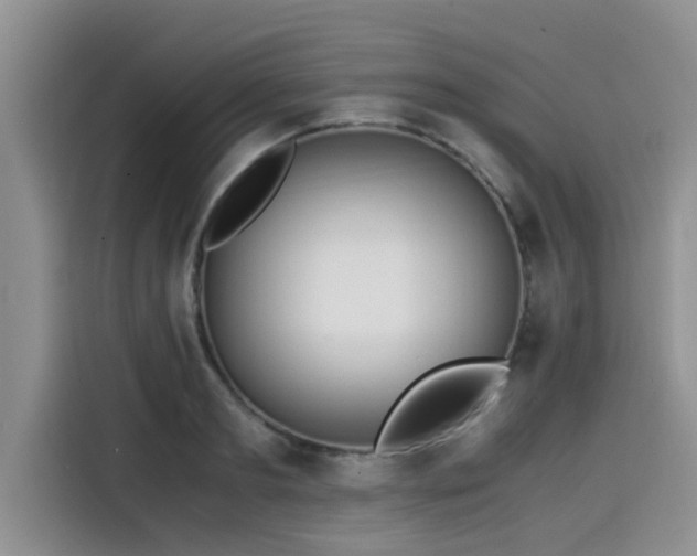 X0000115600893200911171126