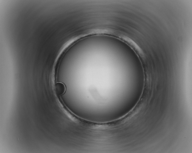 X0000115600894200911171126