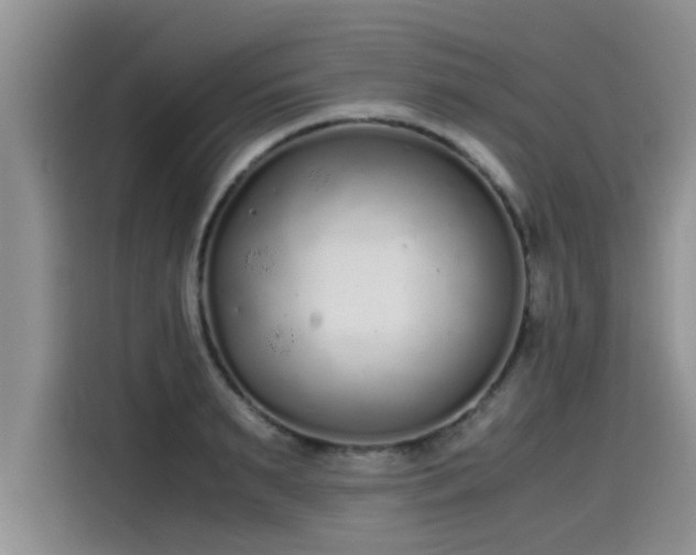 X0000115600895200911171126