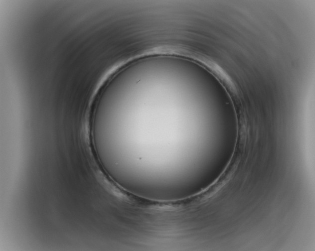 X0000115600896200911171126