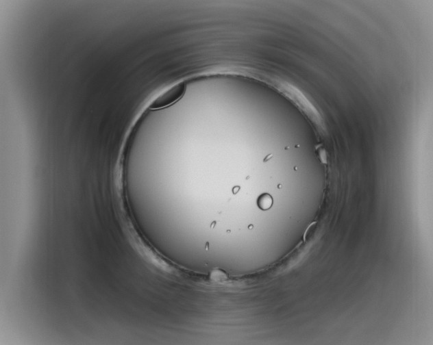 X0000115600900200911171126