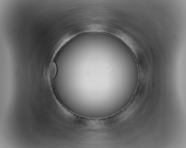 X0000115600901200911171126