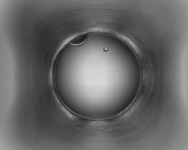 X0000115600902200911171126