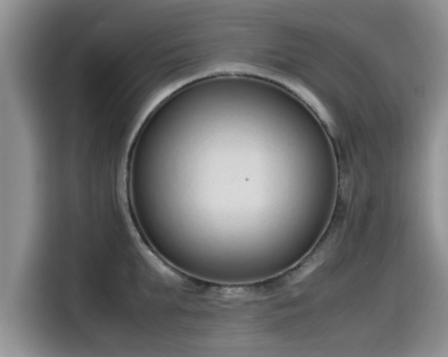 X0000115600903200911171126