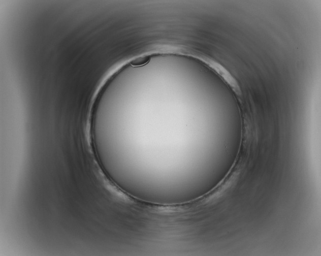 X0000115600904200911171126