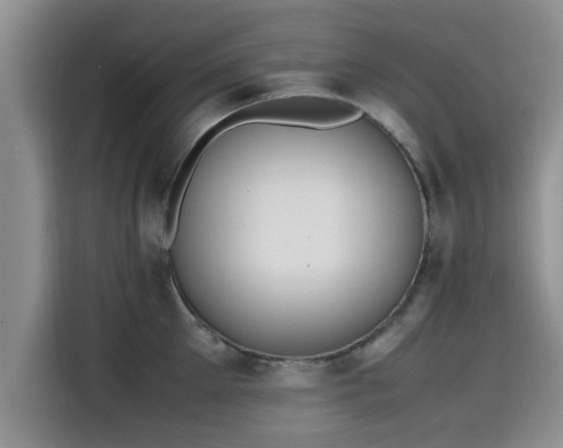 X0000115600905200911171126