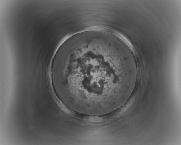 X0000115600907200911171126