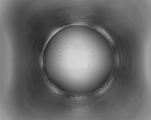 X0000115600908200911171126