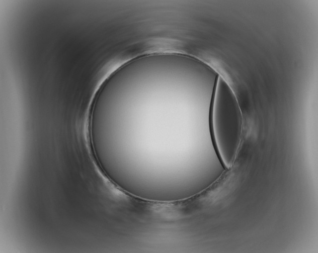 X0000115600909200911171126