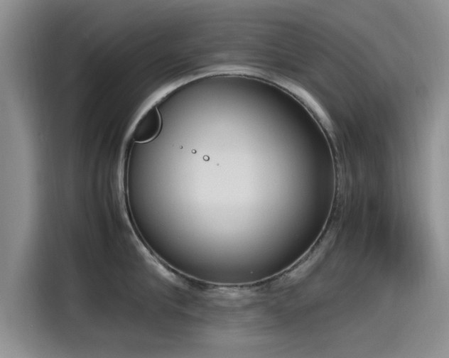 X0000115600910200911171126