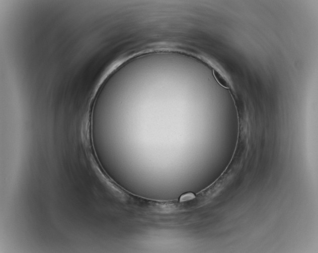 X0000115600911200911171126