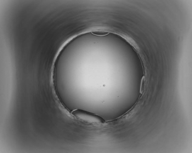 X0000115600912200911171125