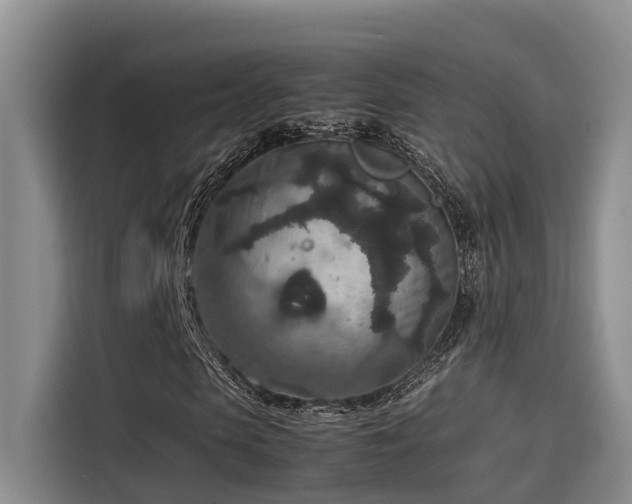 X0000115600913200911171125