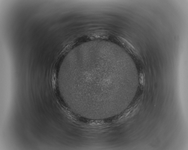 X0000115600915200911171125