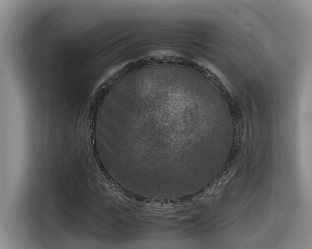 X0000115600919200911171125