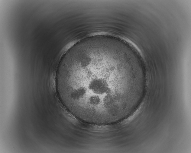 X0000115600921200911171125