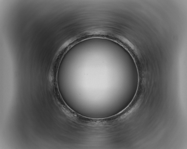 X0000115600922200911171125