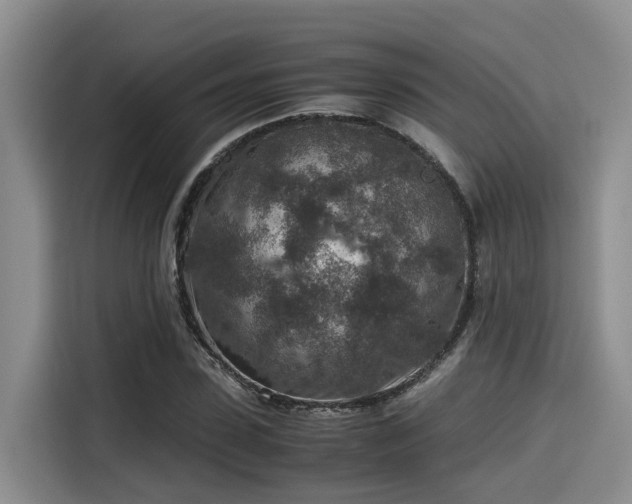 X0000115600923200911171125