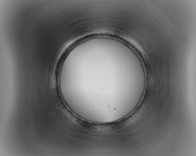 X0000115600927200911171125