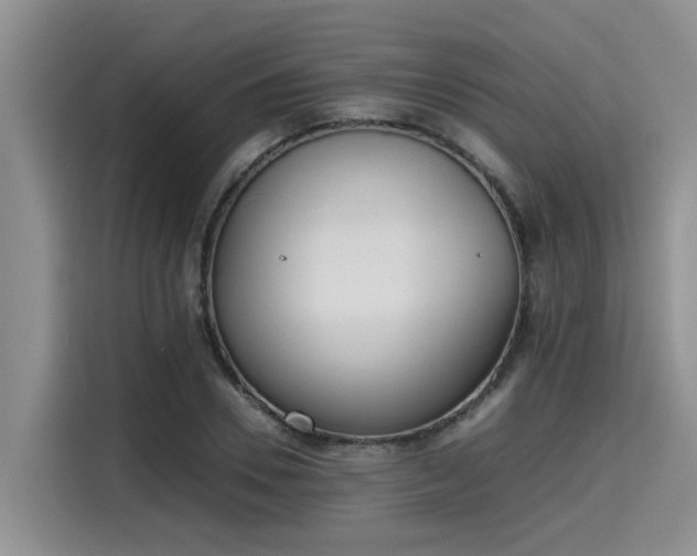 X0000115600930200911171125