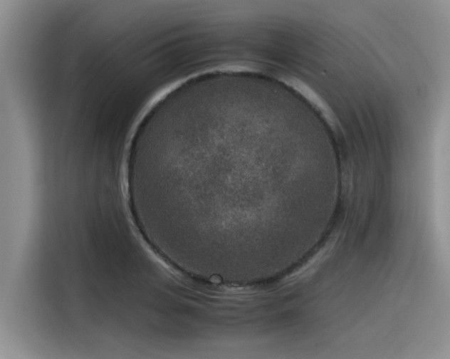 X0000115600935200911171125