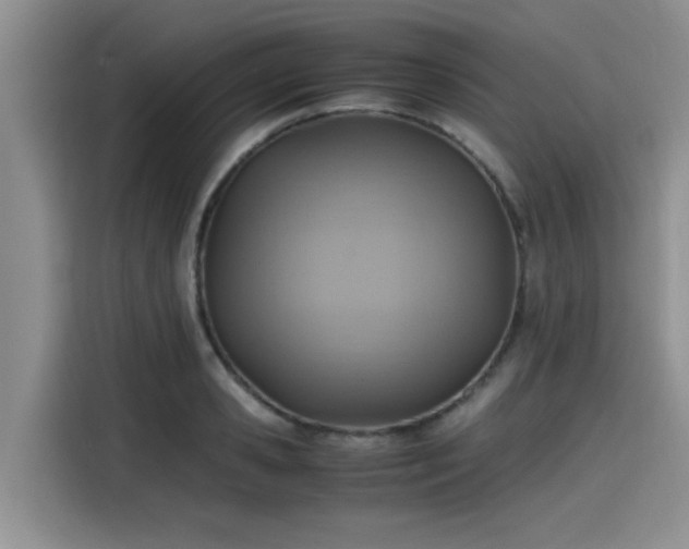 X0000115600941200911171125