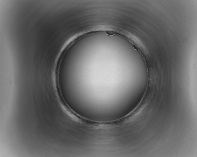 X0000115600942200911171125