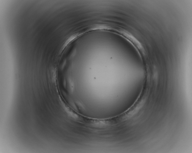 X0000115600945200911171125