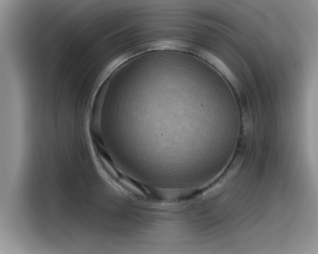 X0000115600946200911171125