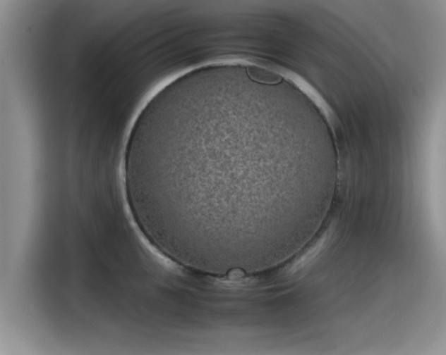 X0000115600951200911171125