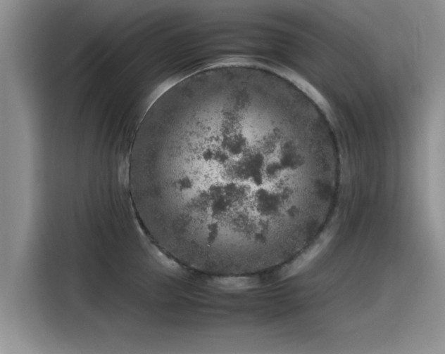 X0000115600953200911171125